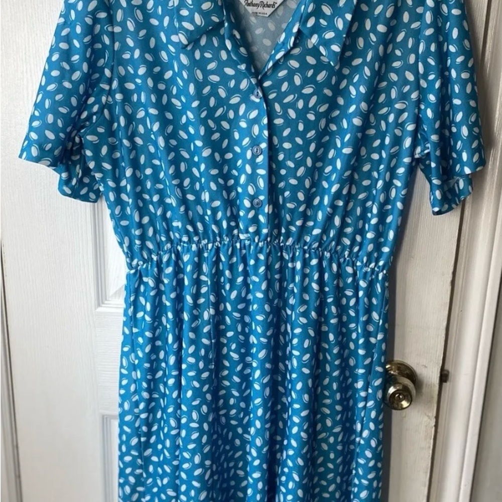 Vintage Anthony Richard’s XxL Dress